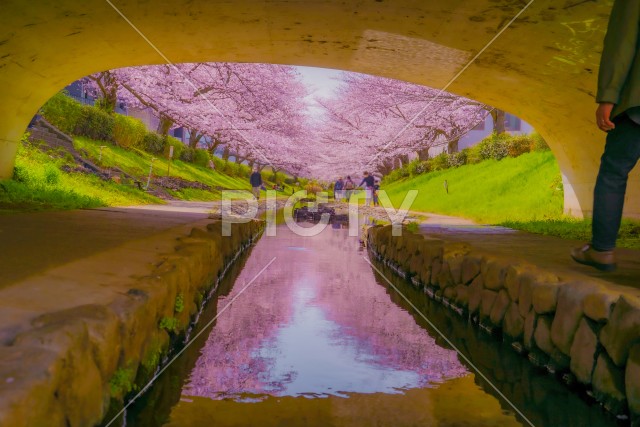 写真のタイトルが入ります