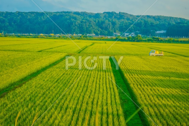 青森の田園風景