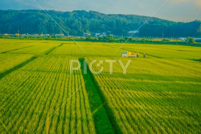 青森の田園風景