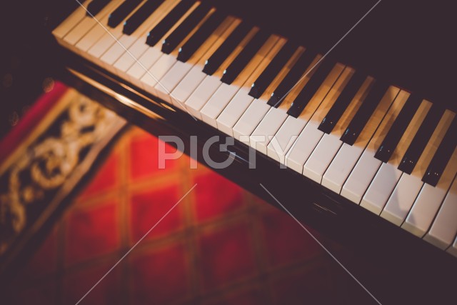 写真のタイトルが入ります