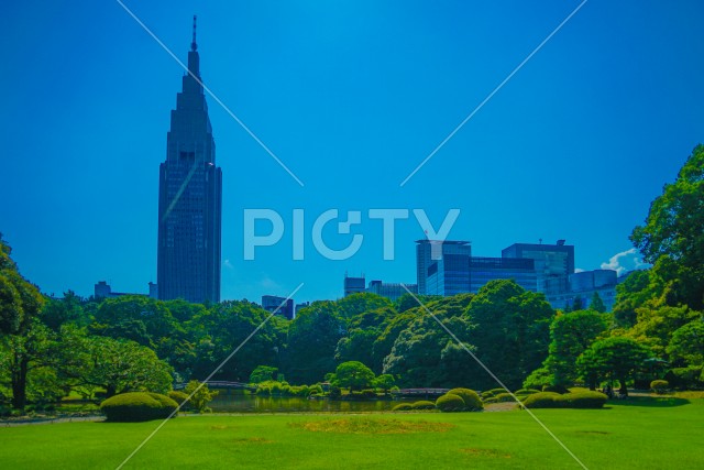 写真のタイトルが入ります