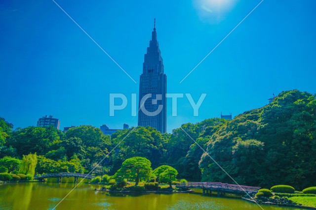 写真のタイトルが入ります