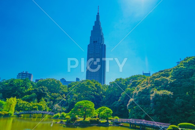 写真のタイトルが入ります