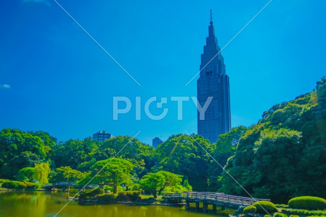 写真のタイトルが入ります