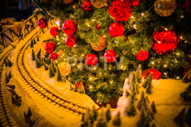 写真のタイトルが入ります