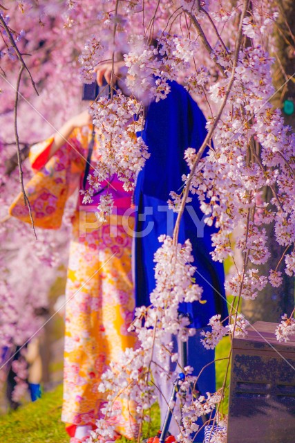写真のタイトルが入ります
