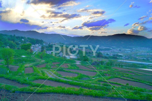 写真のタイトルが入ります