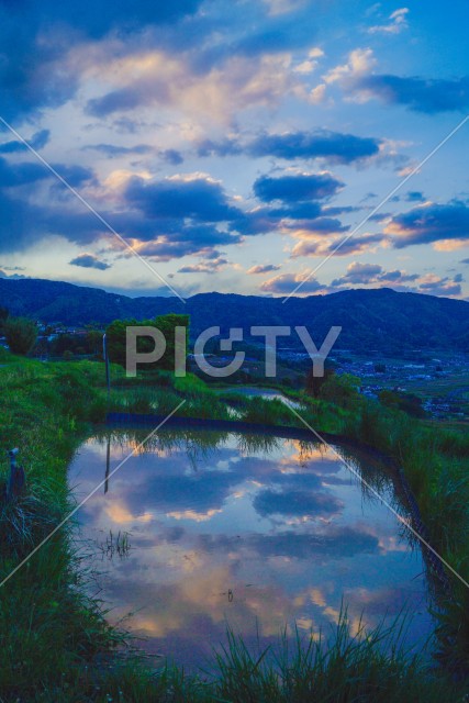 写真のタイトルが入ります