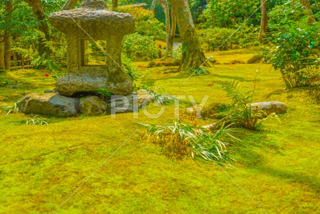 苔の生えた庭園（京都）
