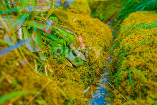 写真のタイトルが入ります