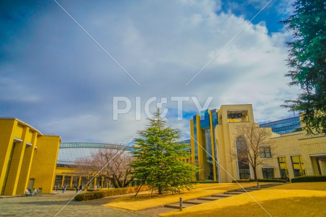 写真のタイトルが入ります