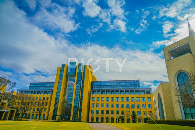 写真のタイトルが入ります