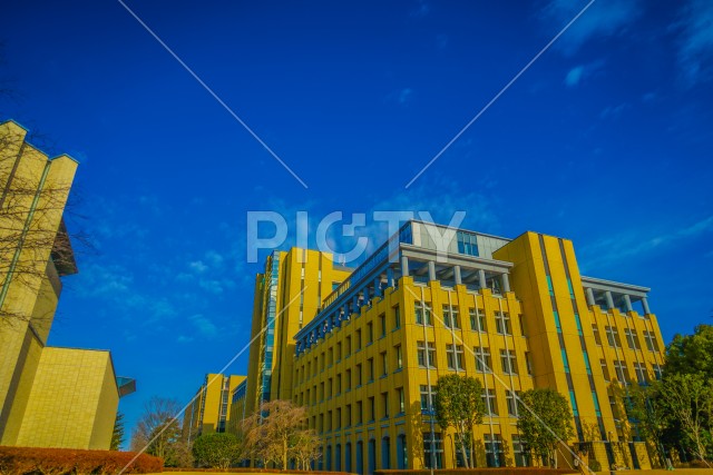 写真のタイトルが入ります