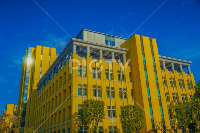 写真のタイトルが入ります