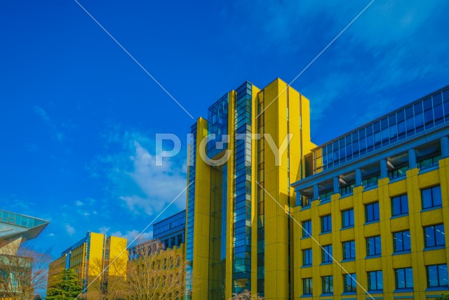 写真のタイトルが入ります