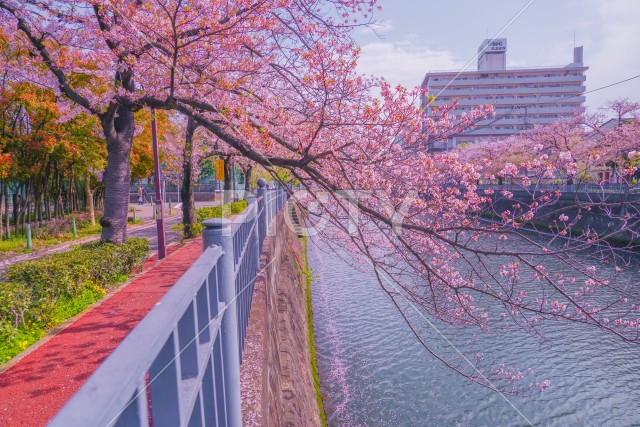 写真のタイトルが入ります
