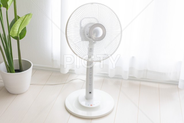 写真のタイトルが入ります