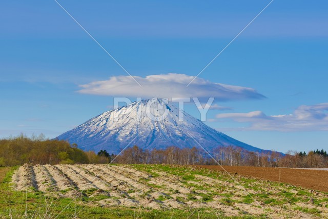 写真のタイトルが入ります