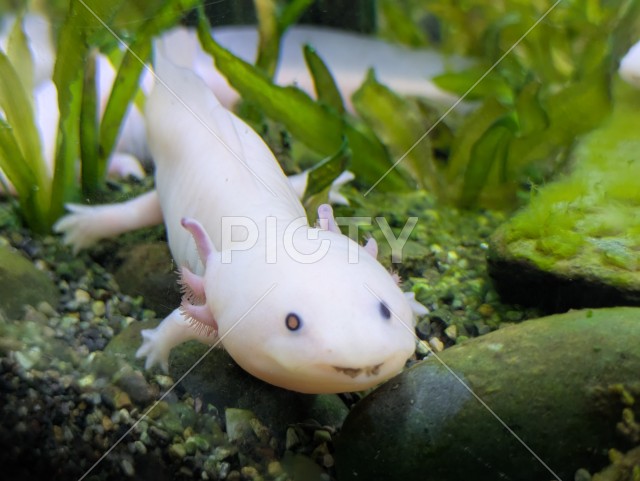 写真のタイトルが入ります