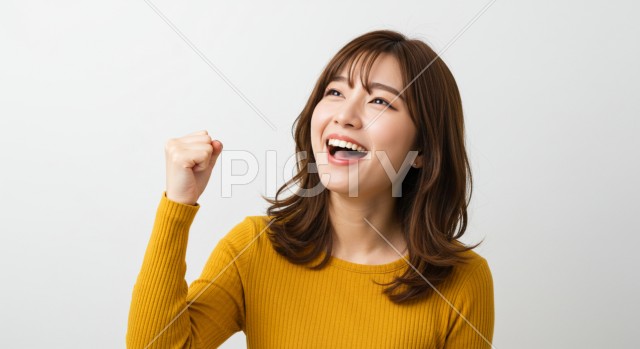 写真のタイトルが入ります