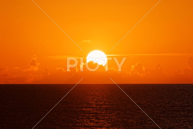 写真のタイトルが入ります