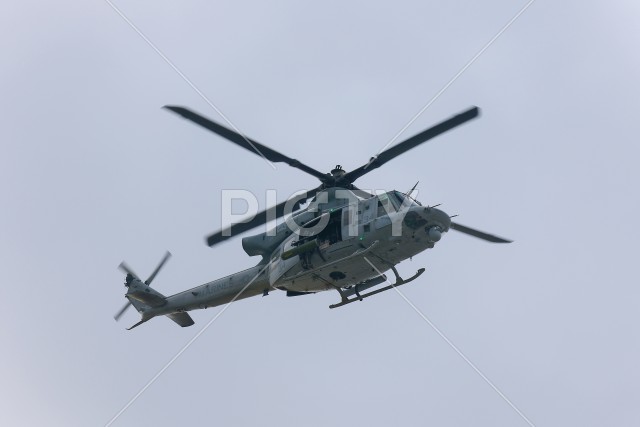 写真のタイトルが入ります