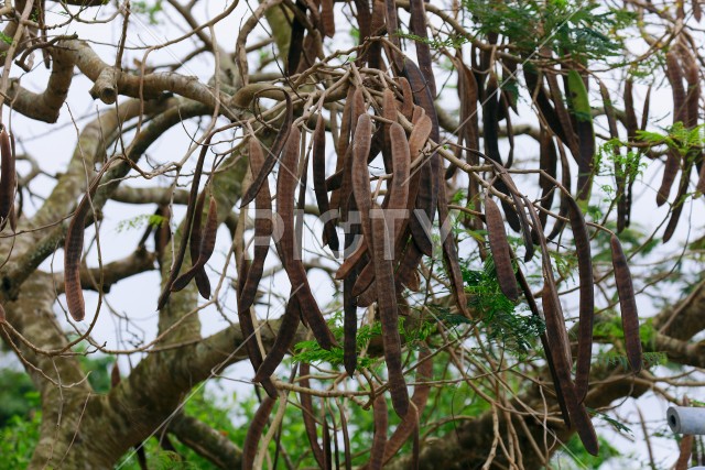 写真のタイトルが入ります