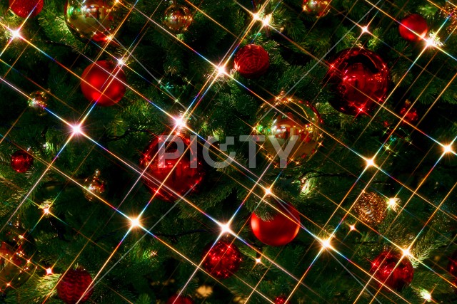 写真のタイトルが入ります