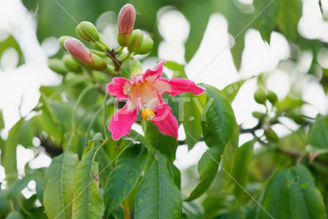 写真のタイトルが入ります