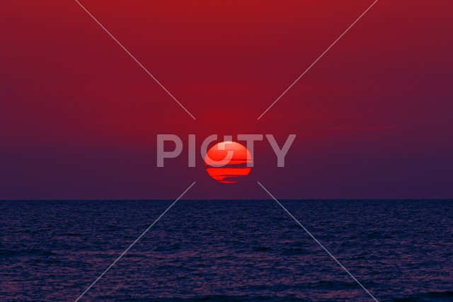 写真のタイトルが入ります