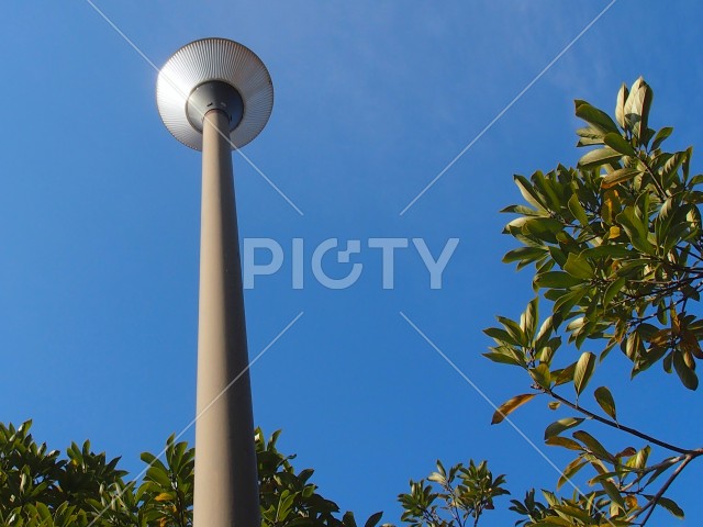 写真のタイトルが入ります