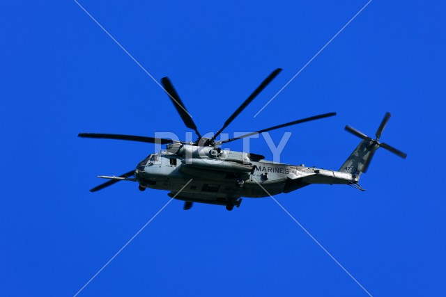 写真のタイトルが入ります