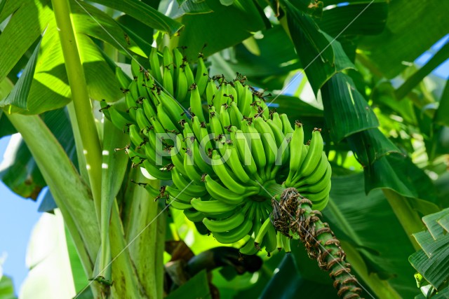 写真のタイトルが入ります