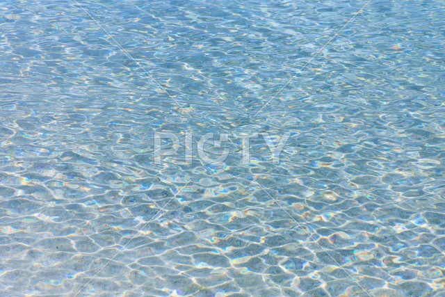 写真のタイトルが入ります