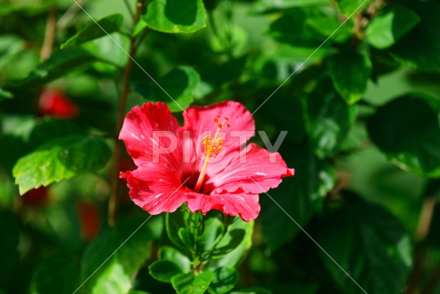 写真のタイトルが入ります