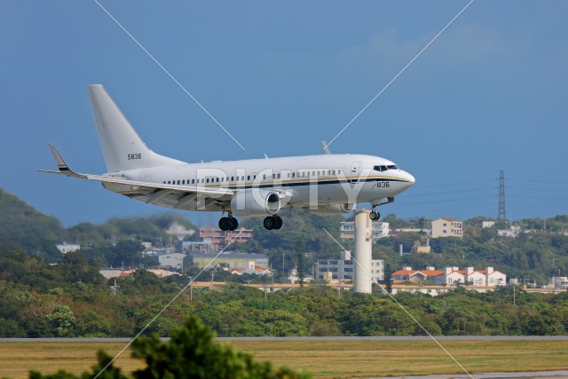 写真のタイトルが入ります