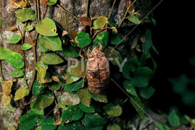 写真のタイトルが入ります