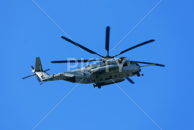 写真のタイトルが入ります