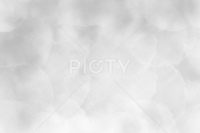 写真のタイトルが入ります