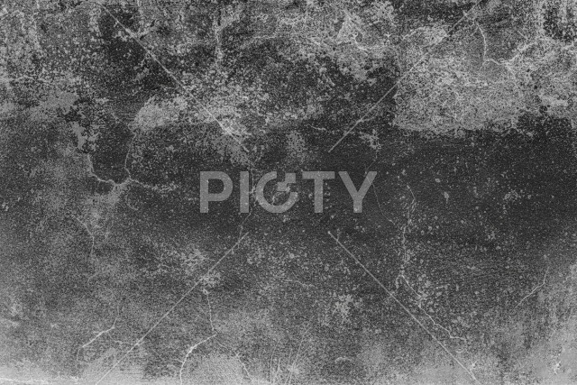 写真のタイトルが入ります