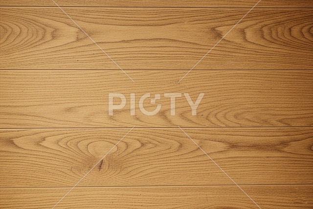 写真のタイトルが入ります