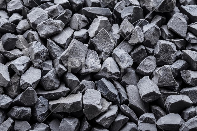 写真のタイトルが入ります