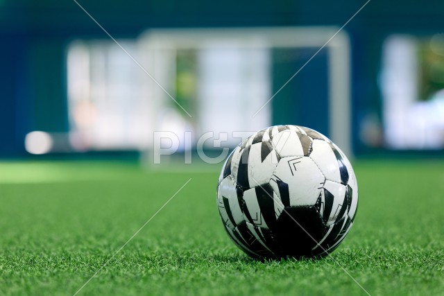 写真のタイトルが入ります