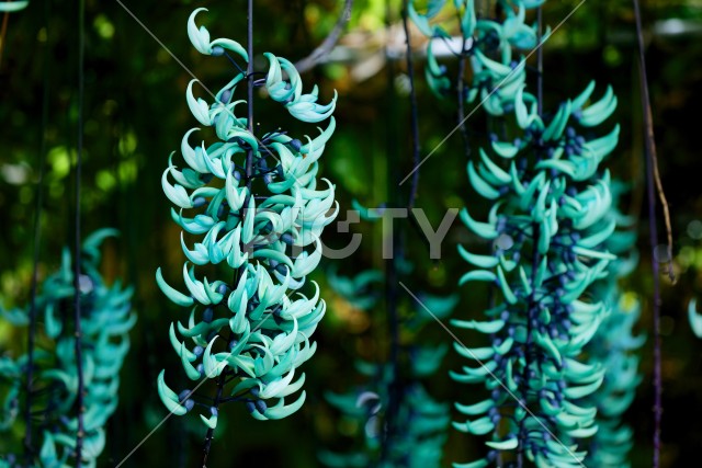 写真のタイトルが入ります