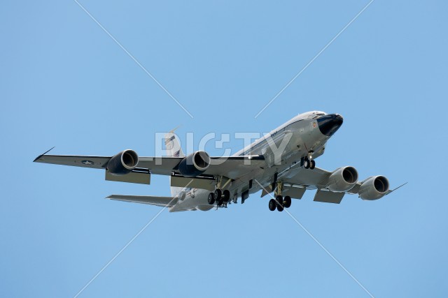 写真のタイトルが入ります