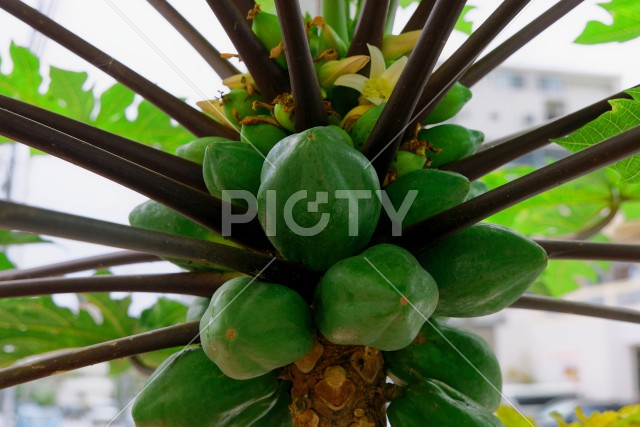 写真のタイトルが入ります