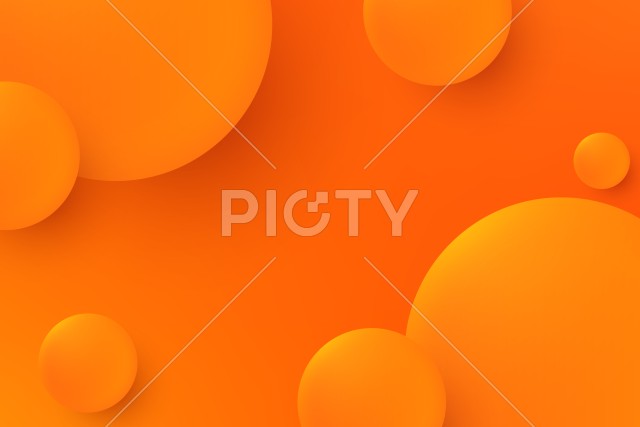 写真のタイトルが入ります