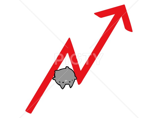 写真のタイトルが入ります