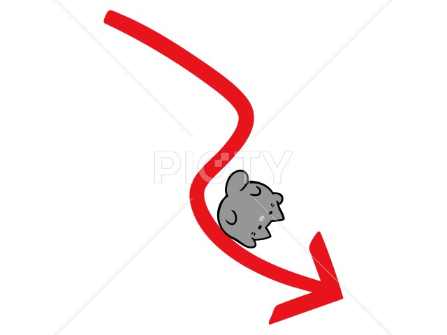 写真のタイトルが入ります