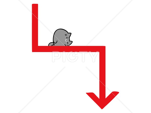 写真のタイトルが入ります